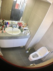 Amber Point (D15), Condominium #175305622